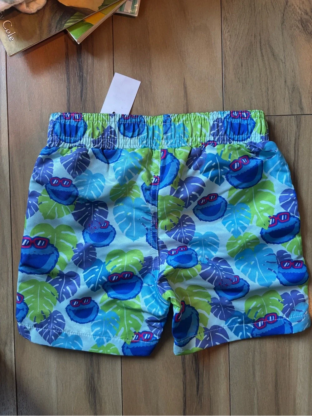 New Sea World Cookie x Sesame Street Shorts
